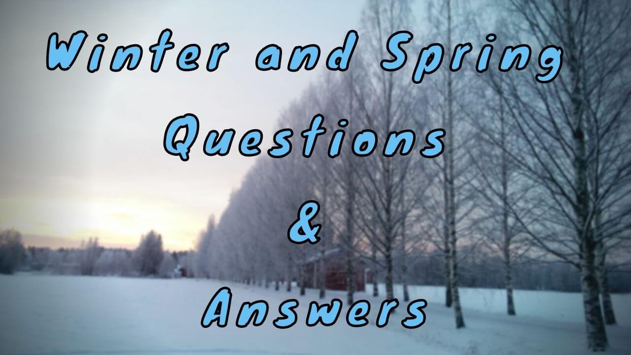 Winter and Spring Questions & Answers