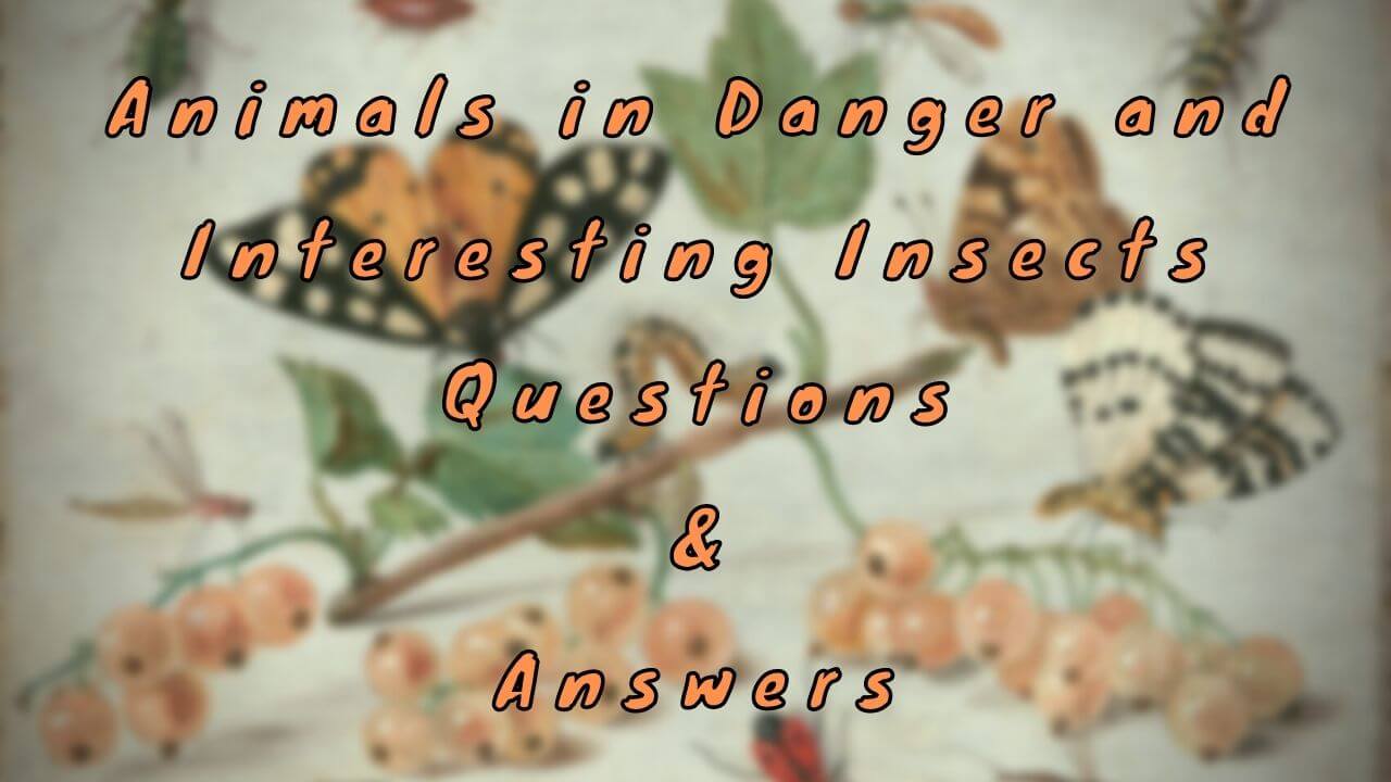 Animals in Danger and Interesting Insects Questions & Answers