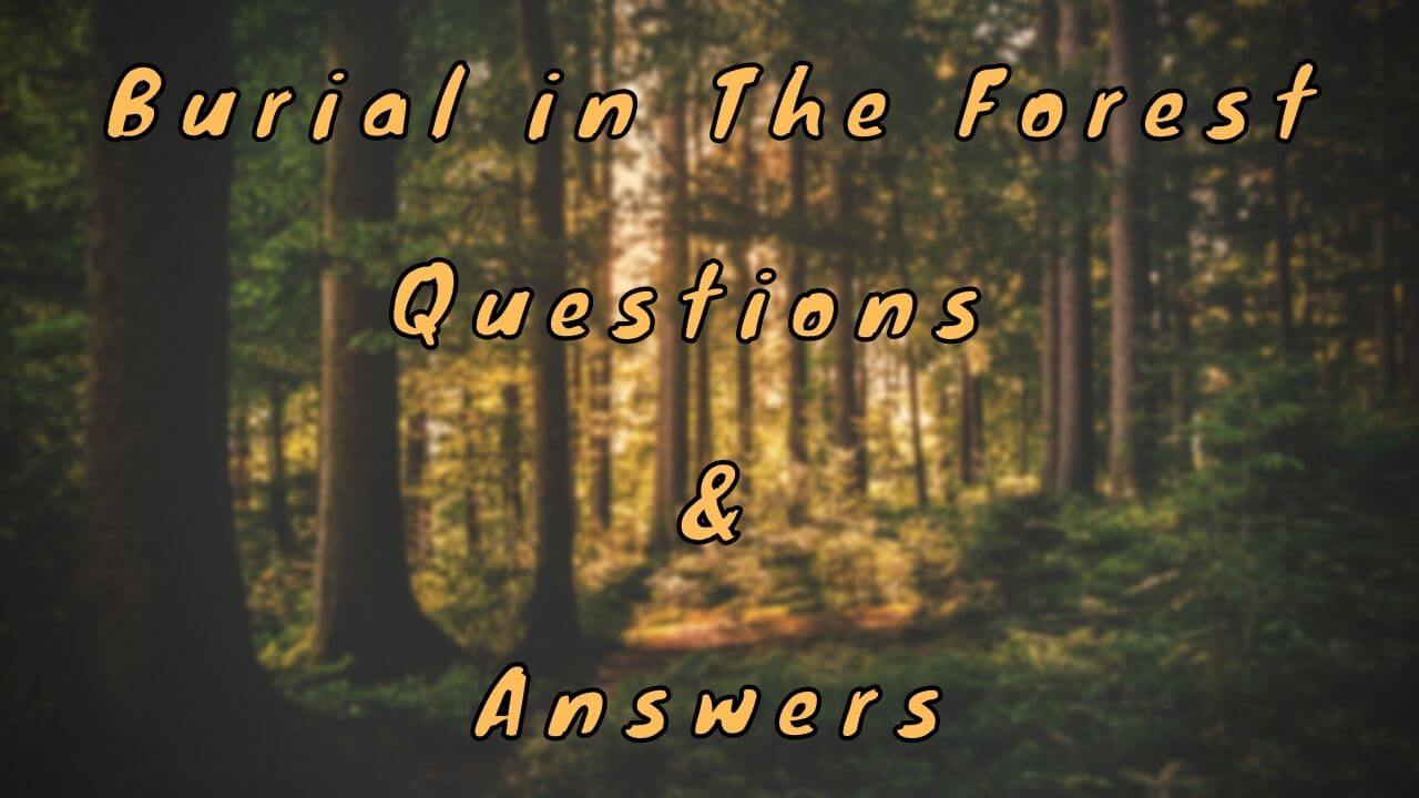 Burial in The Forest Questions & Answers