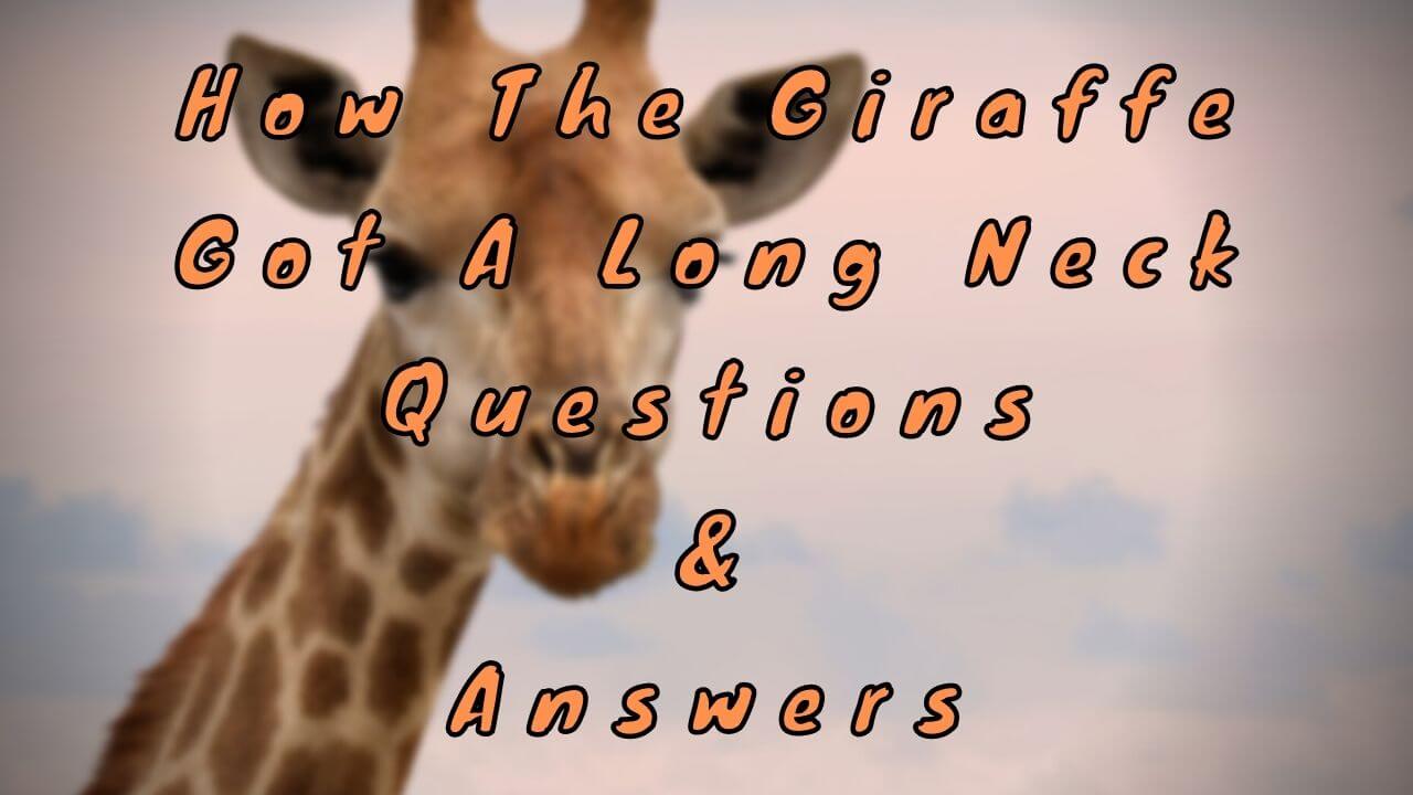 How The Giraffe Got A Long Neck Questions & Answers
