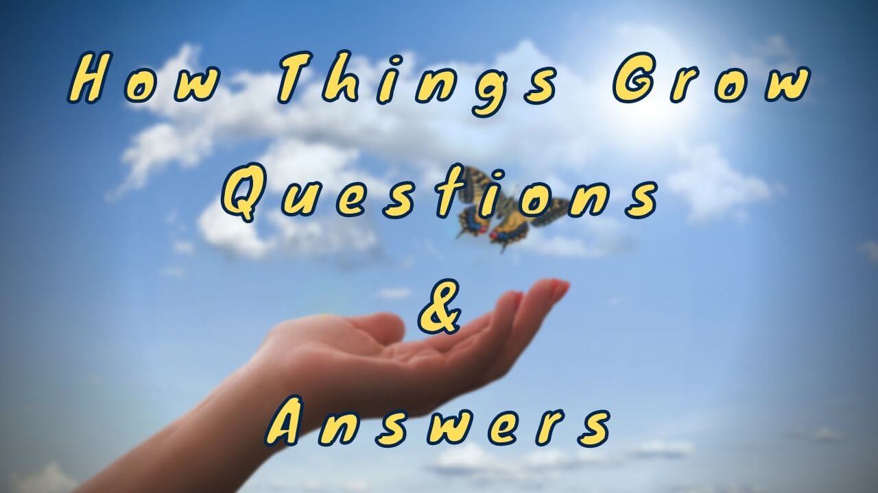 How Things Grow Questions & Answers