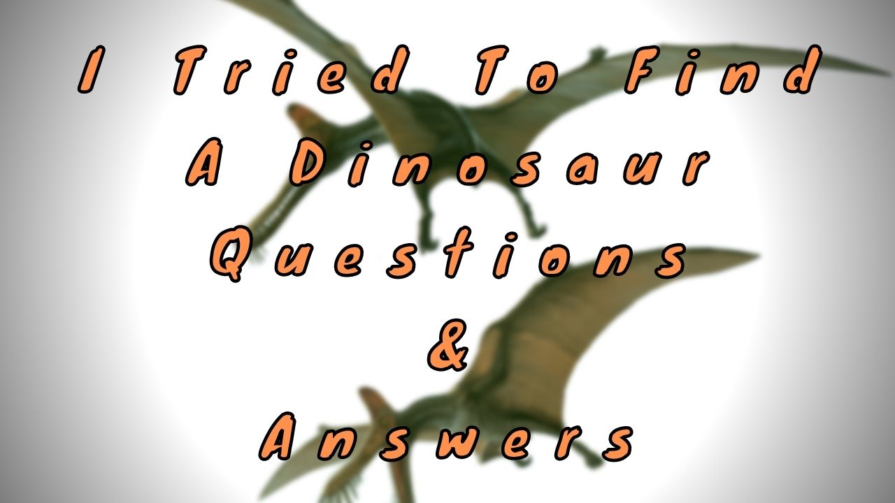 I Tried To Find a Dinosaur Questions & Answers