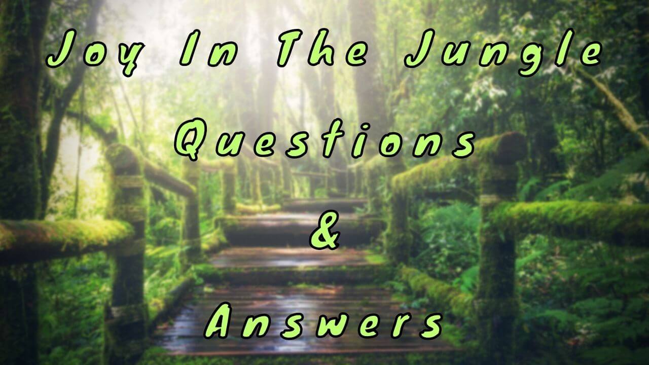Joy In The Jungle Questions & Answers