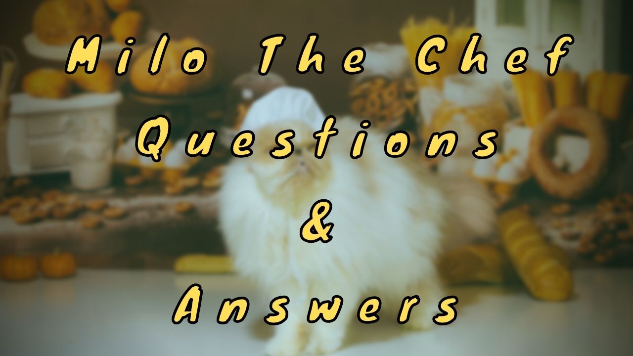 Milo The Chef Questions & Answers