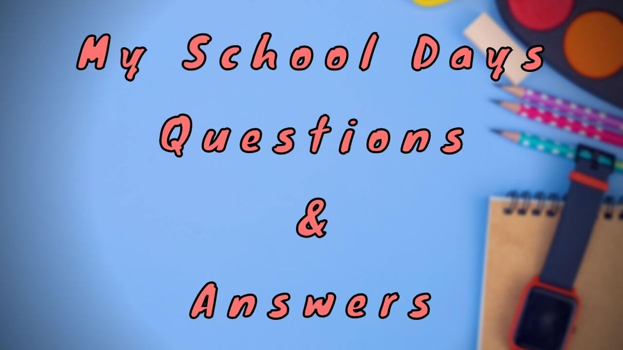 my-school-days-questions-answers-wittychimp