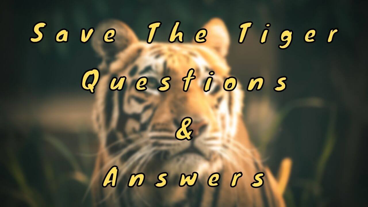 Save The Tiger Questions & Answers