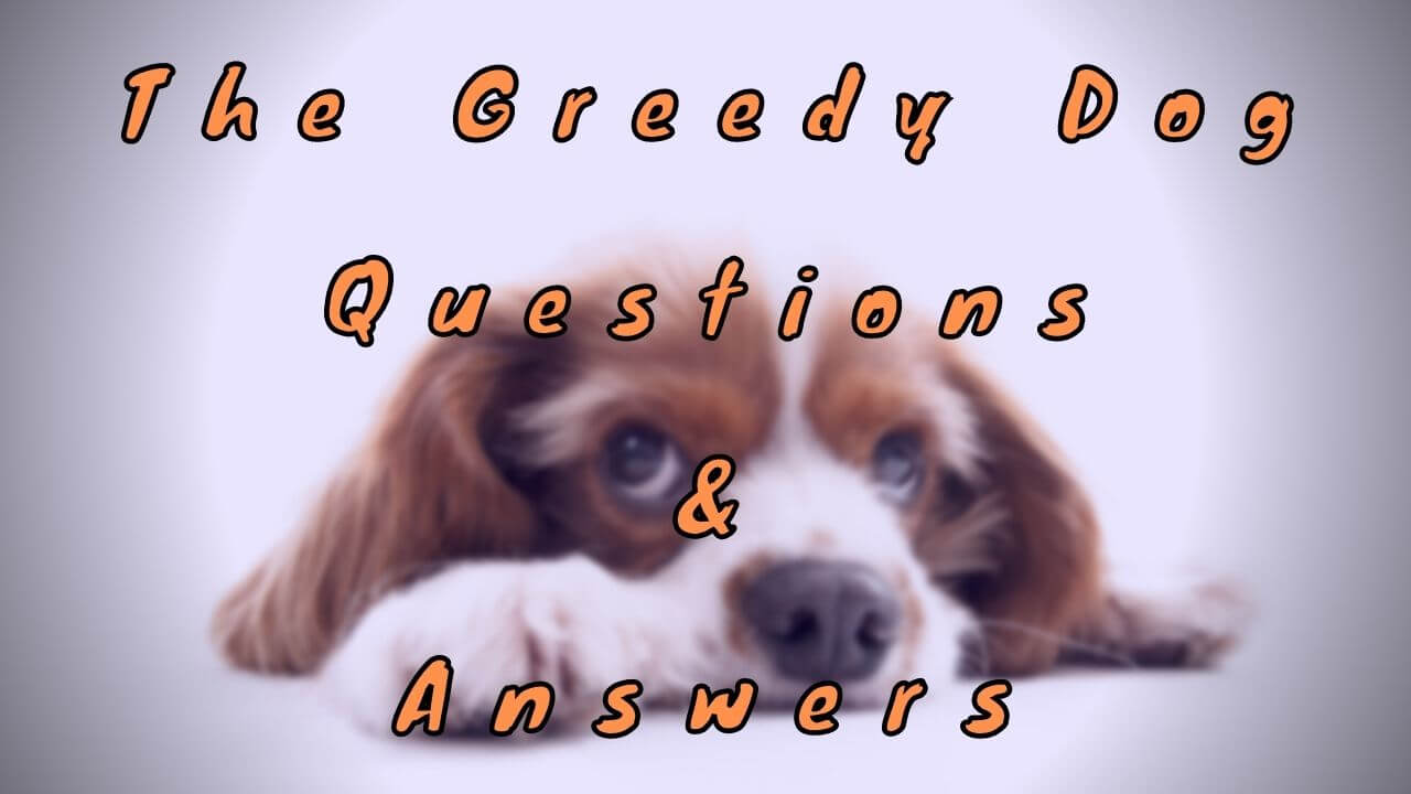 The Greedy Dog Questions & Answers