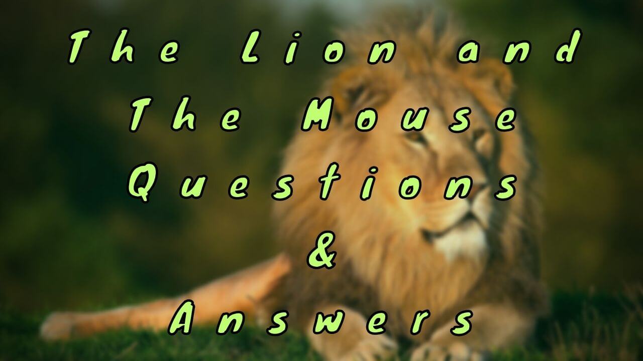 The Lion and The Mouse Questions & Answers