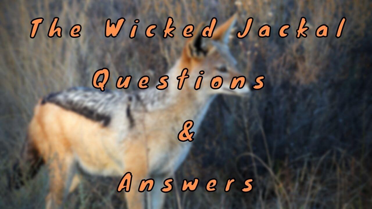 The Wicked Jackal Questions & Answers