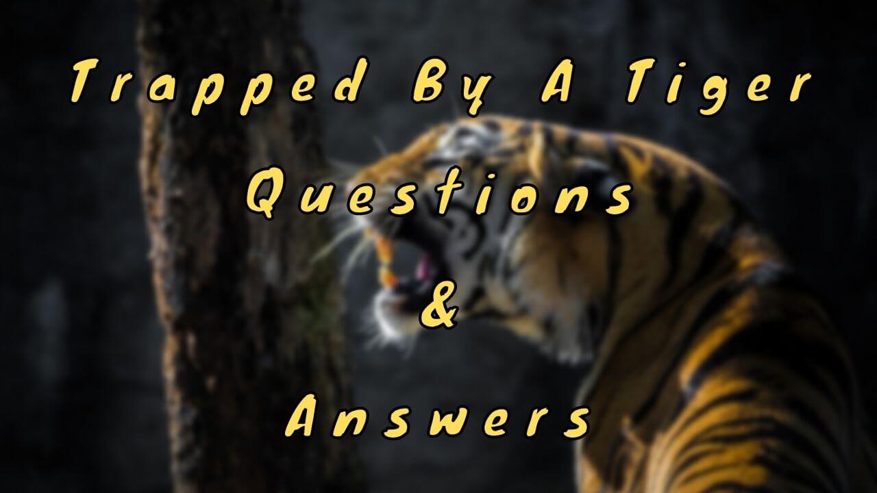 Trapped By A Tiger Questions & Answers