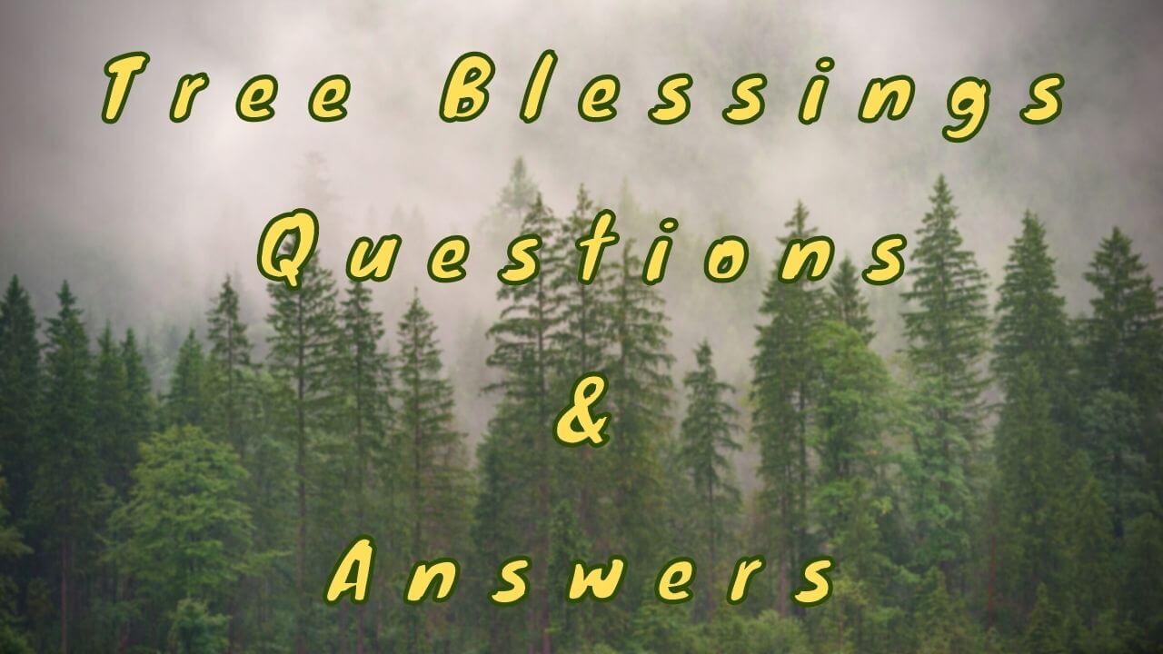 Tree Blessings Questions & Answers