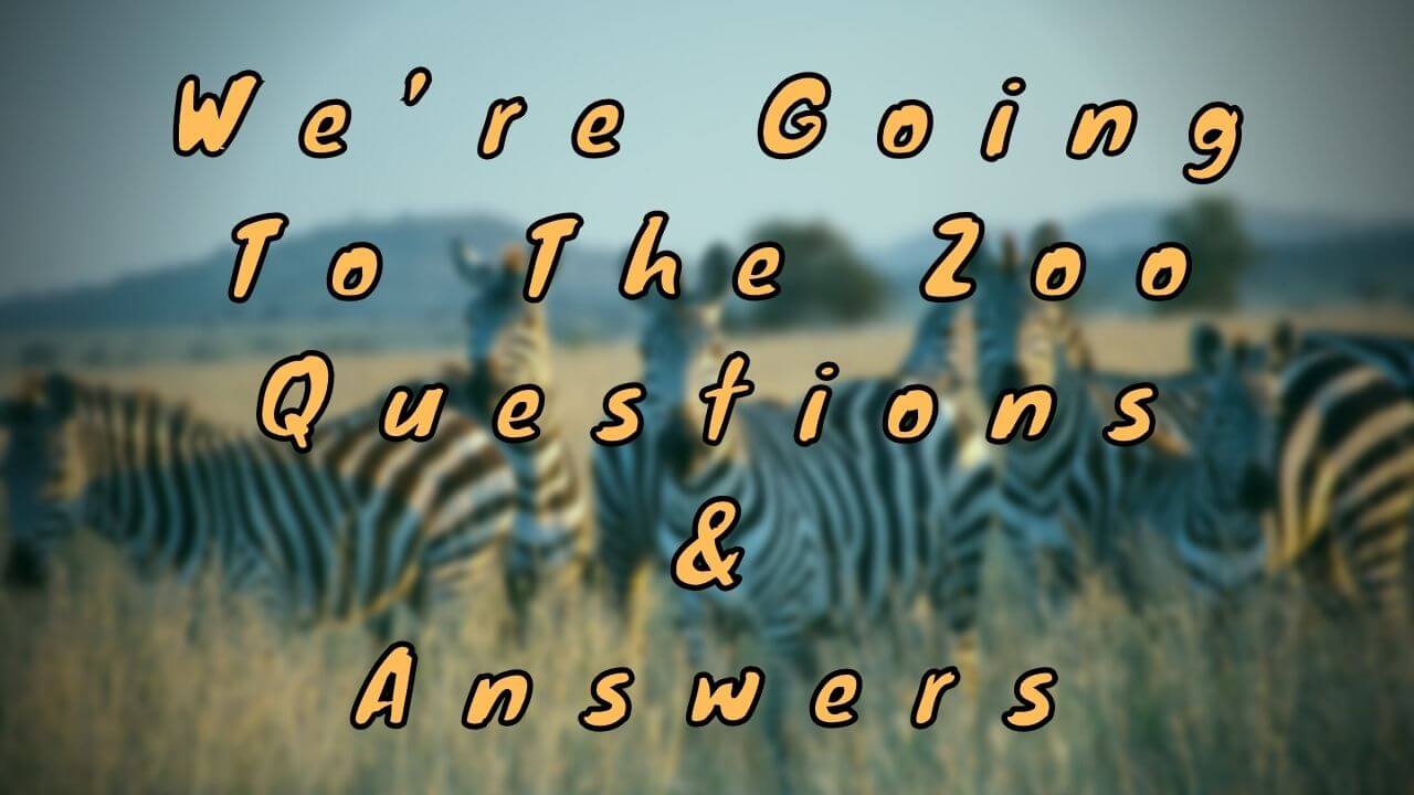 We’re Going To The Zoo Questions & Answers