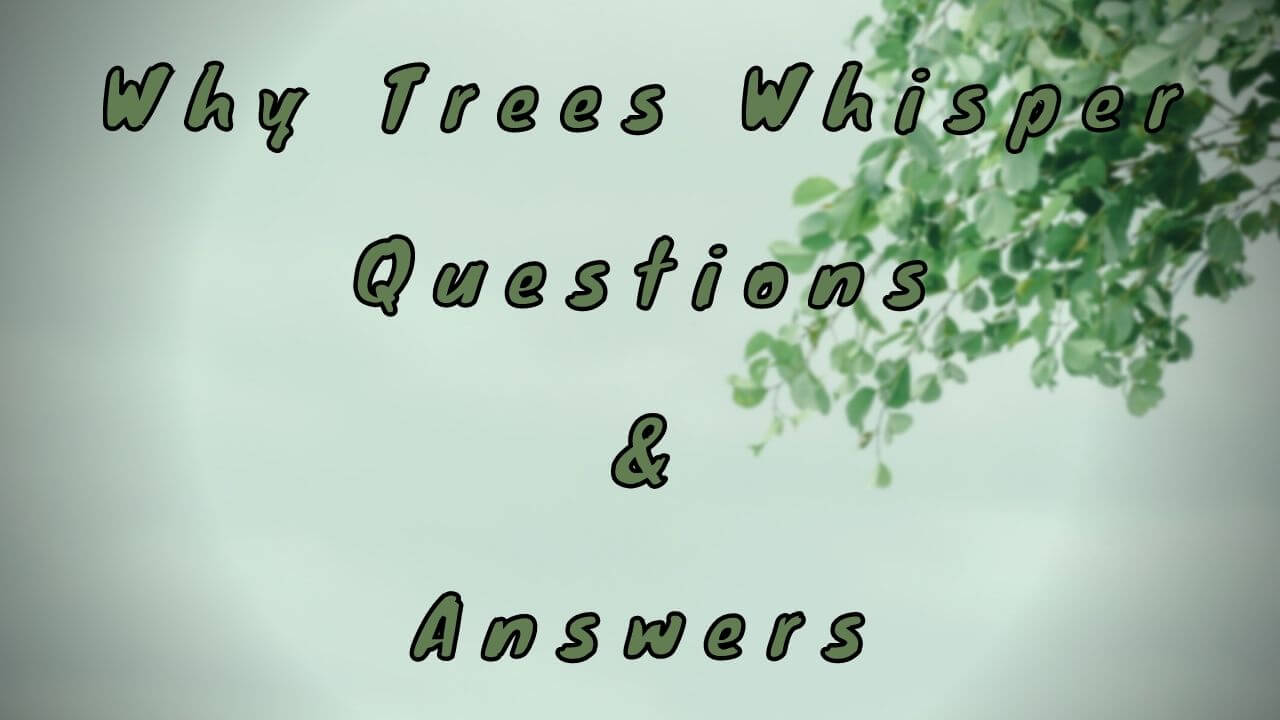 Why Trees Whisper Questions & Answers