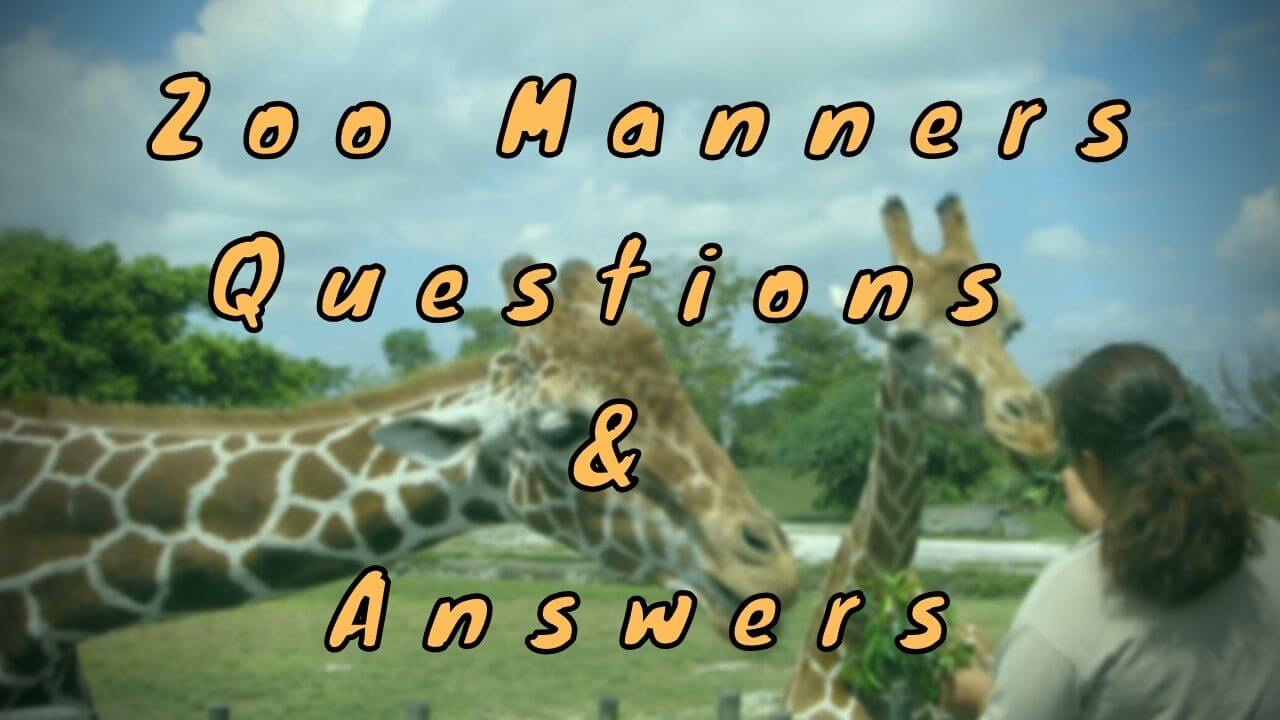Zoo Manners Questions & Answers