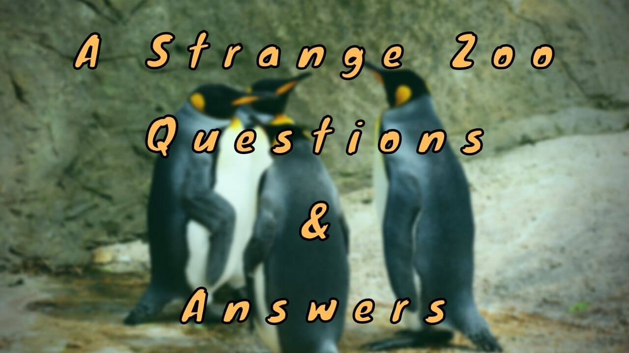 A Strange Zoo Questions & Answers