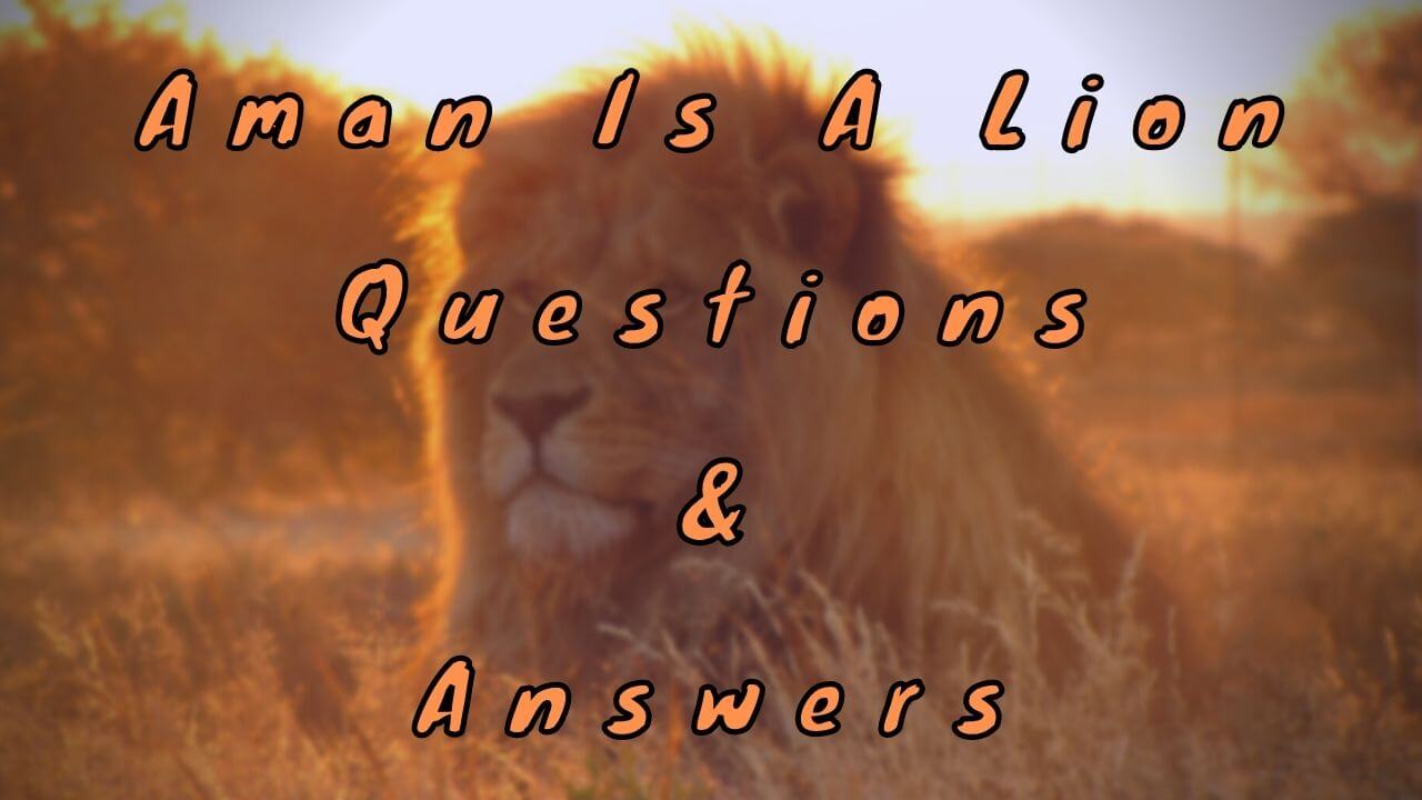 Aman Is A Lion Questions & Answers