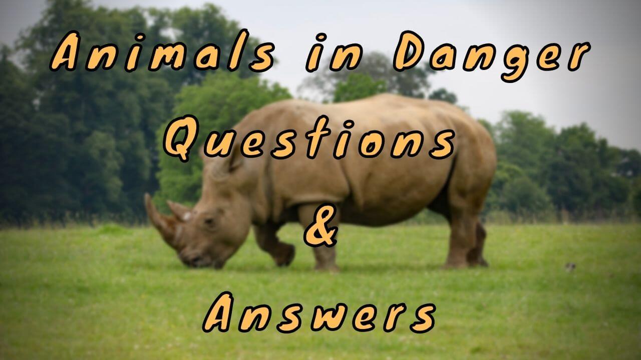 Animals in Danger Questions & Answers