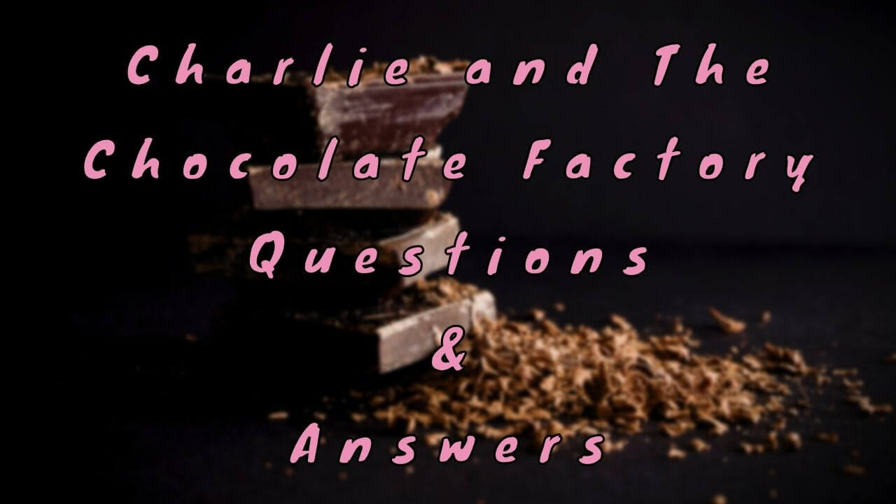 Charlie and The Chocolate Factory Questions & Answers