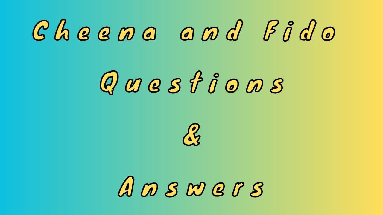 Cheena and Fido Questions & Answers