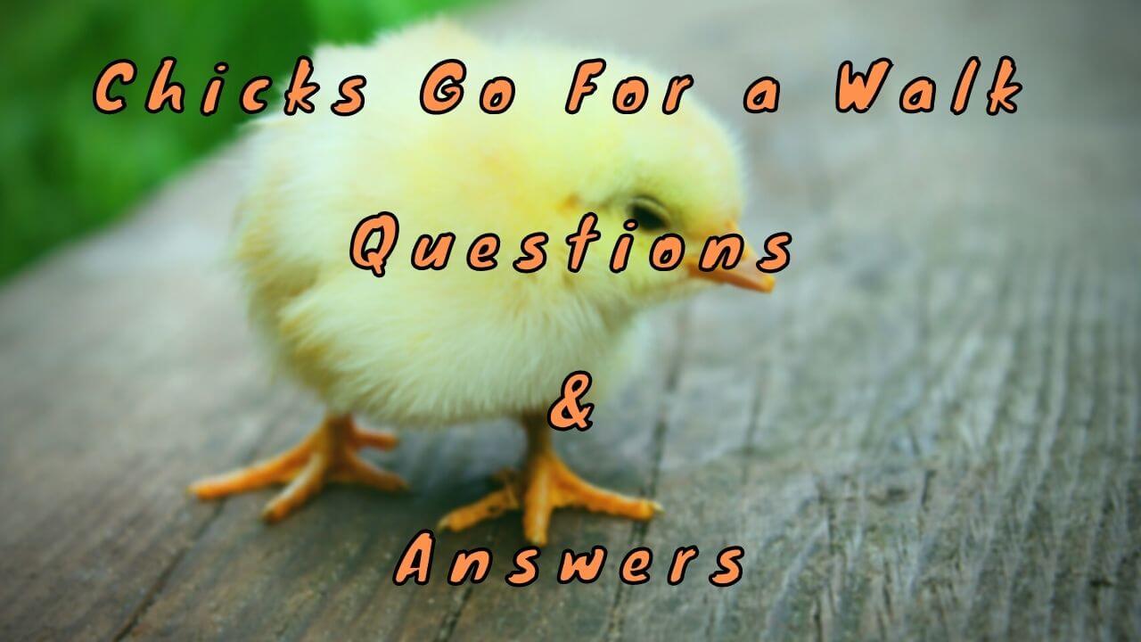 Chicks Go For a Walk Questions & Answers