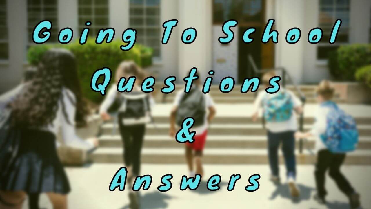 Going To School Questions & Answers