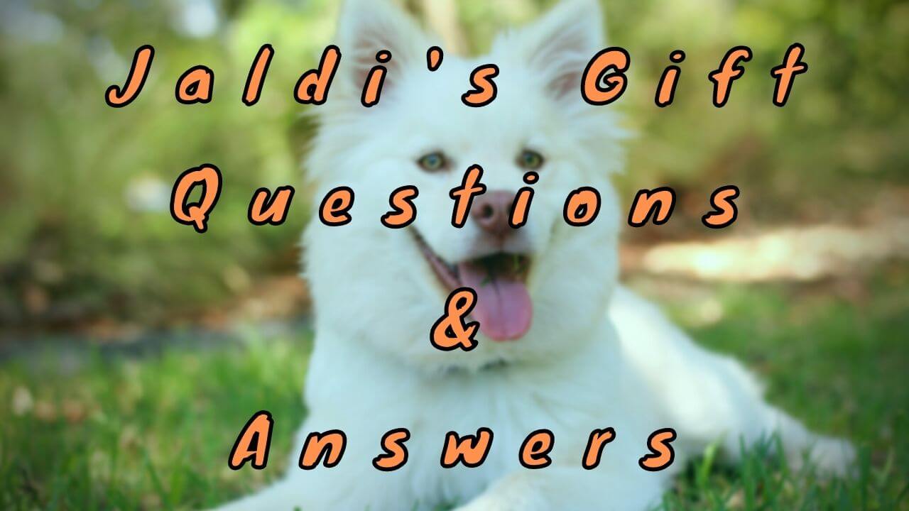 Jaldi’s Gift Questions & Answers
