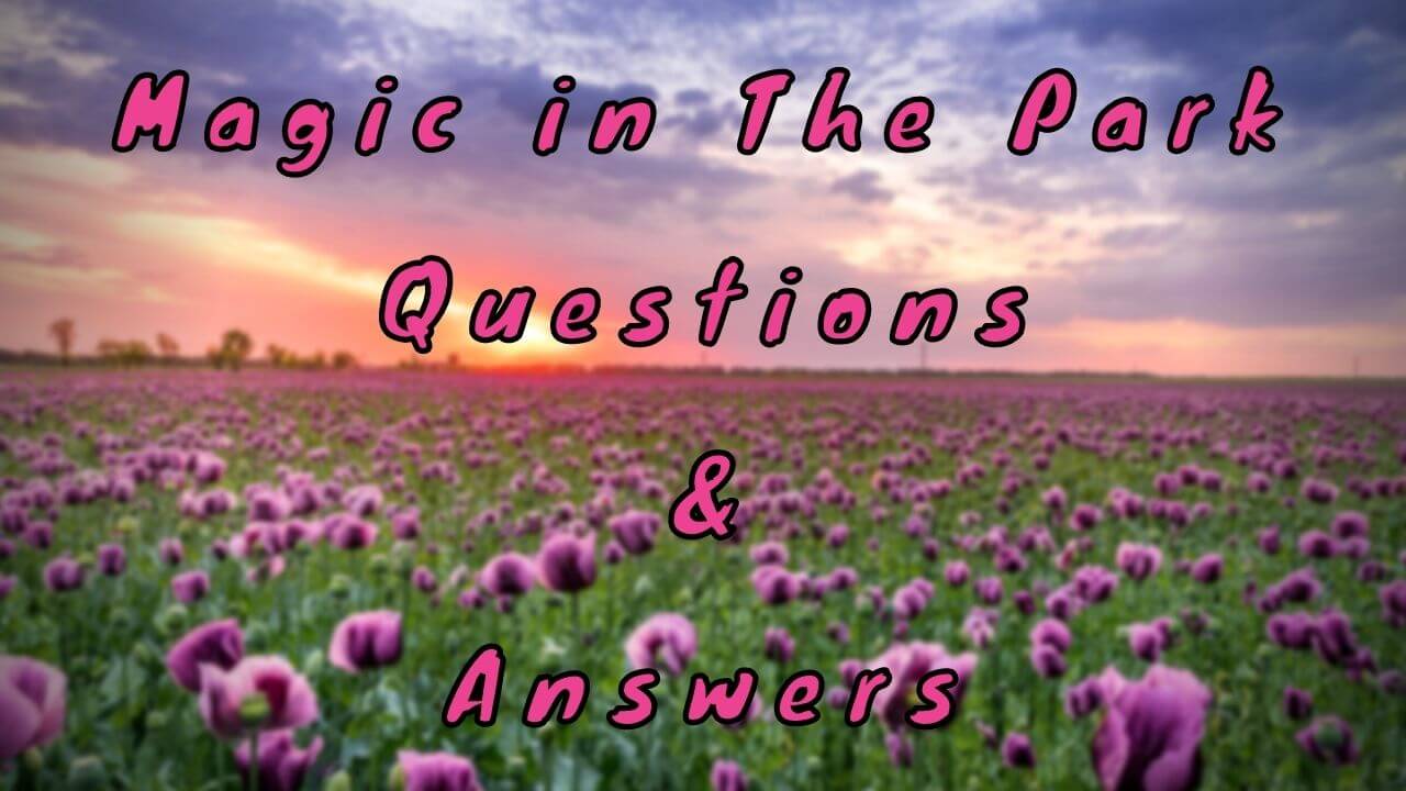 Magic in The Park Questions & Answers