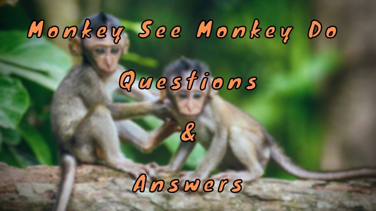 Monkey See Monkey Do Questions & Answers