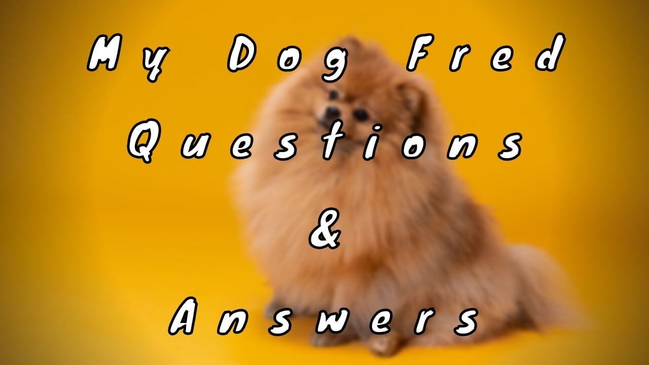 My Dog Fred Questions & Answers