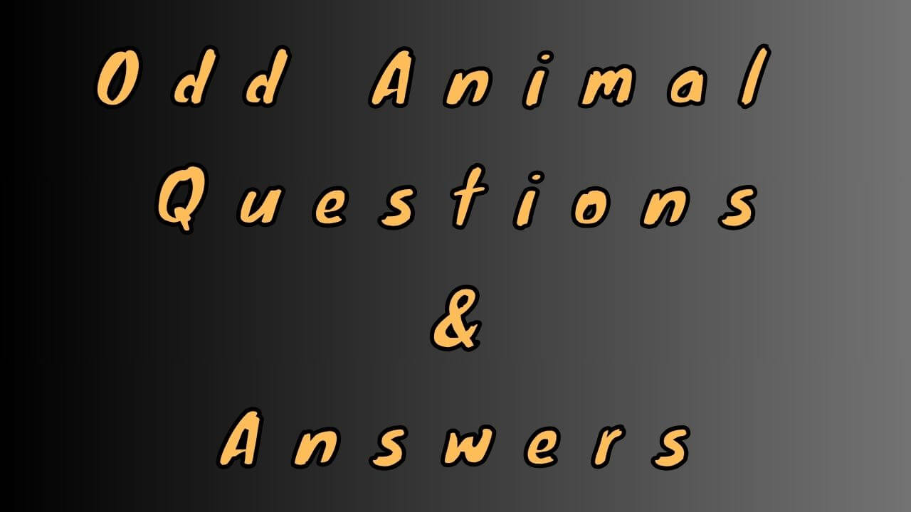 Odd Animal Questions & Answers