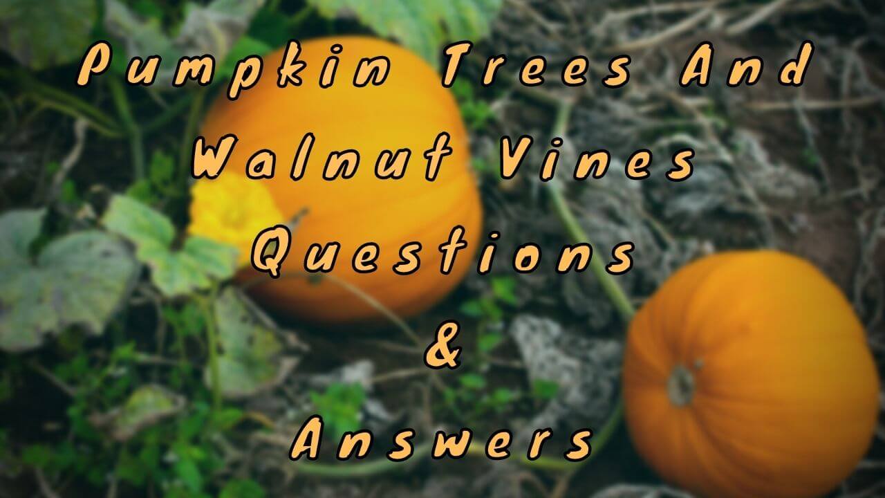 Pumpkin Trees and Walnut Vines Questions & Answers
