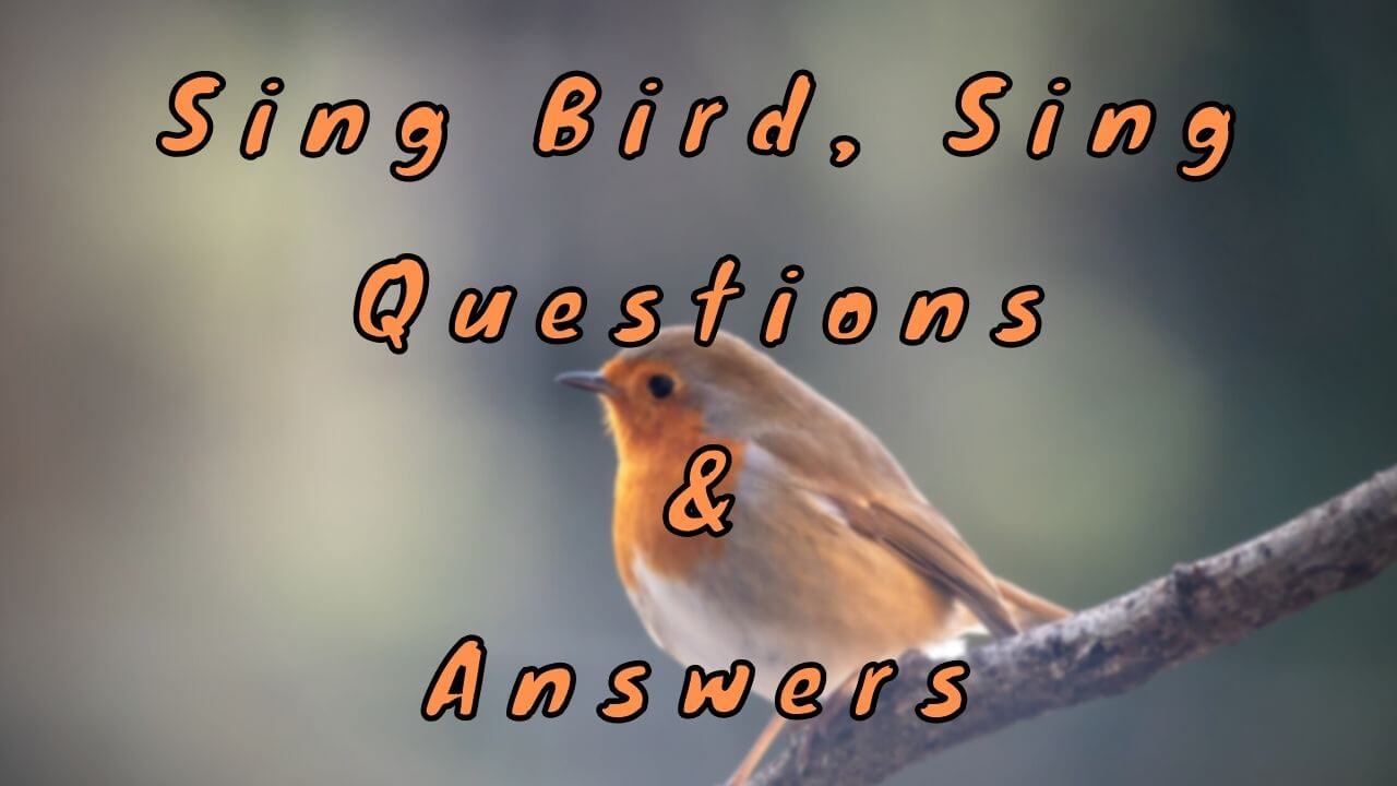 Sing Bird Sing Questions & Answers