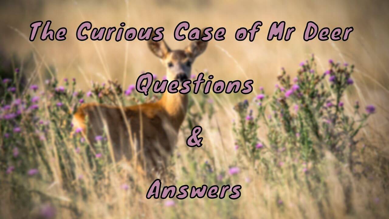The Curious Case of Mr Deer Questions & Answers