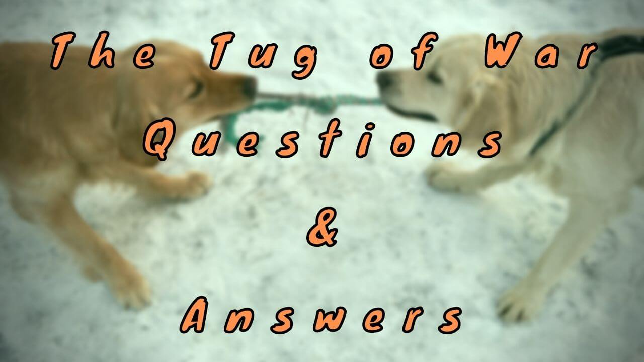 The Tug of War Questions & Answers