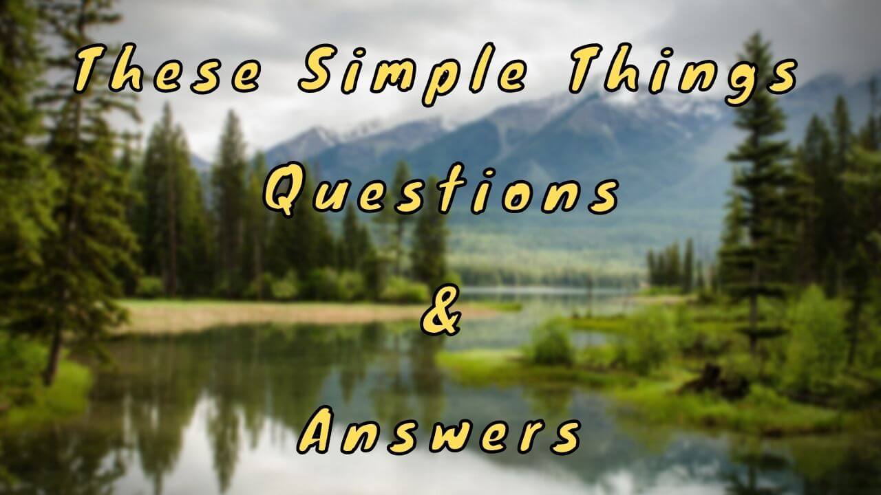 These Simple Things Questions & Answers