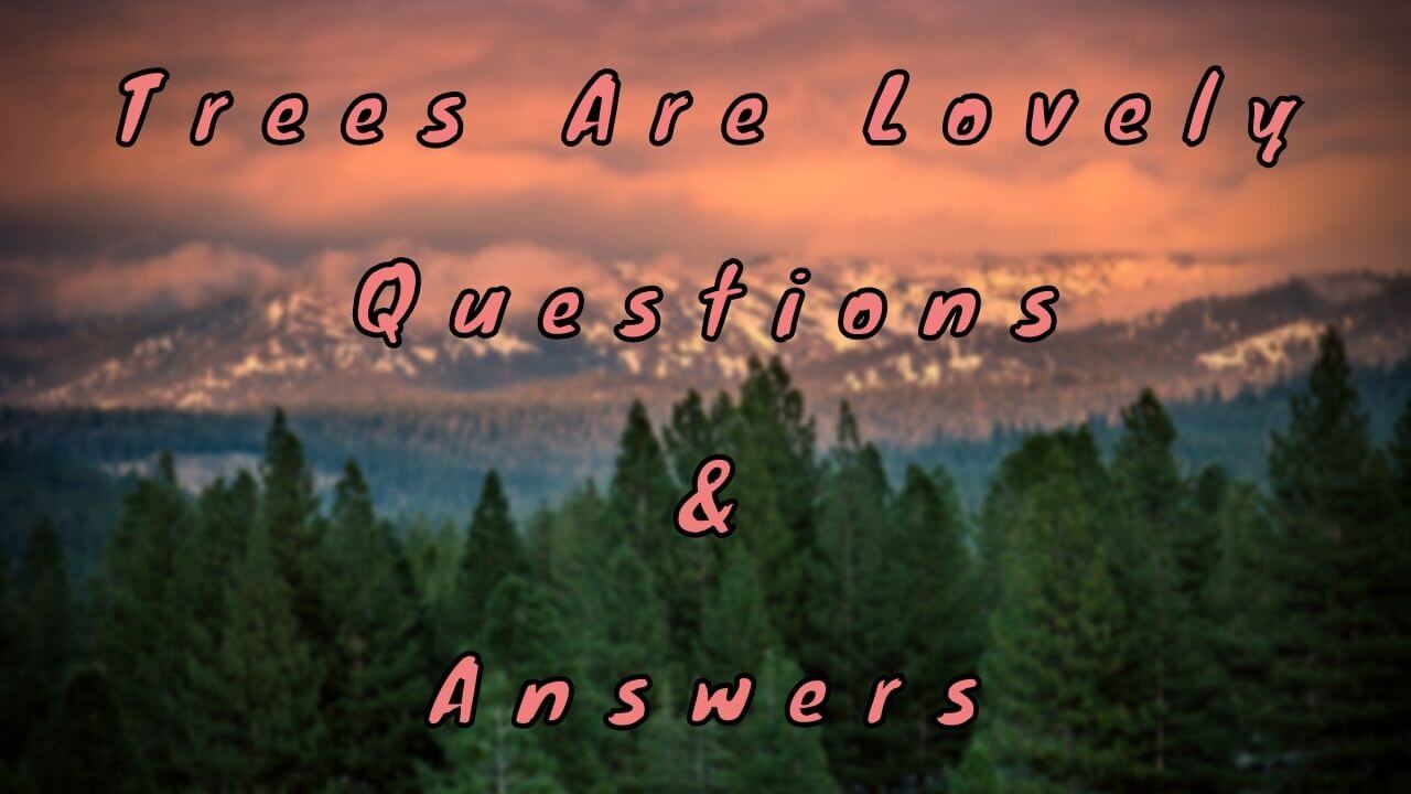 Trees Are Lovely Questions & Answers