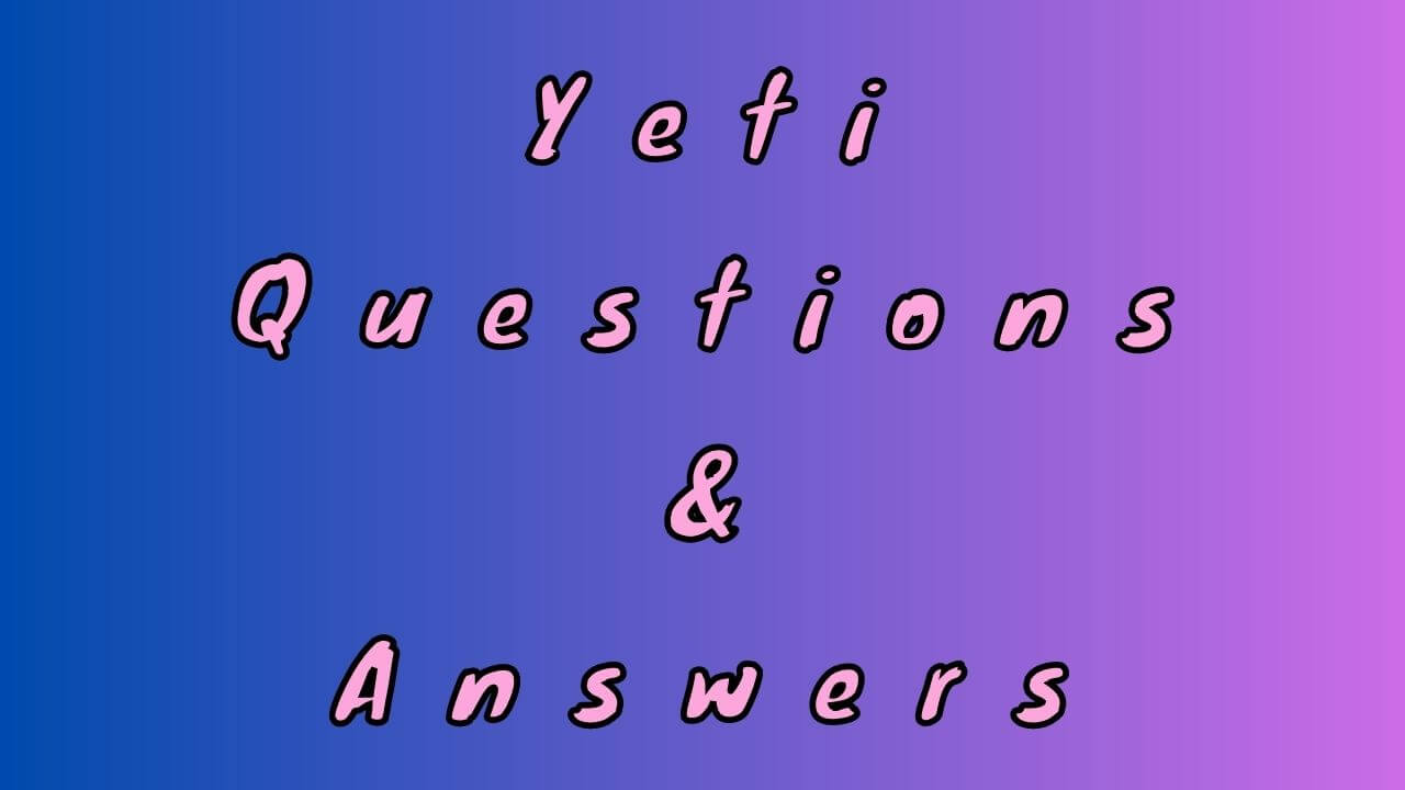 Yeti Questions & Answers