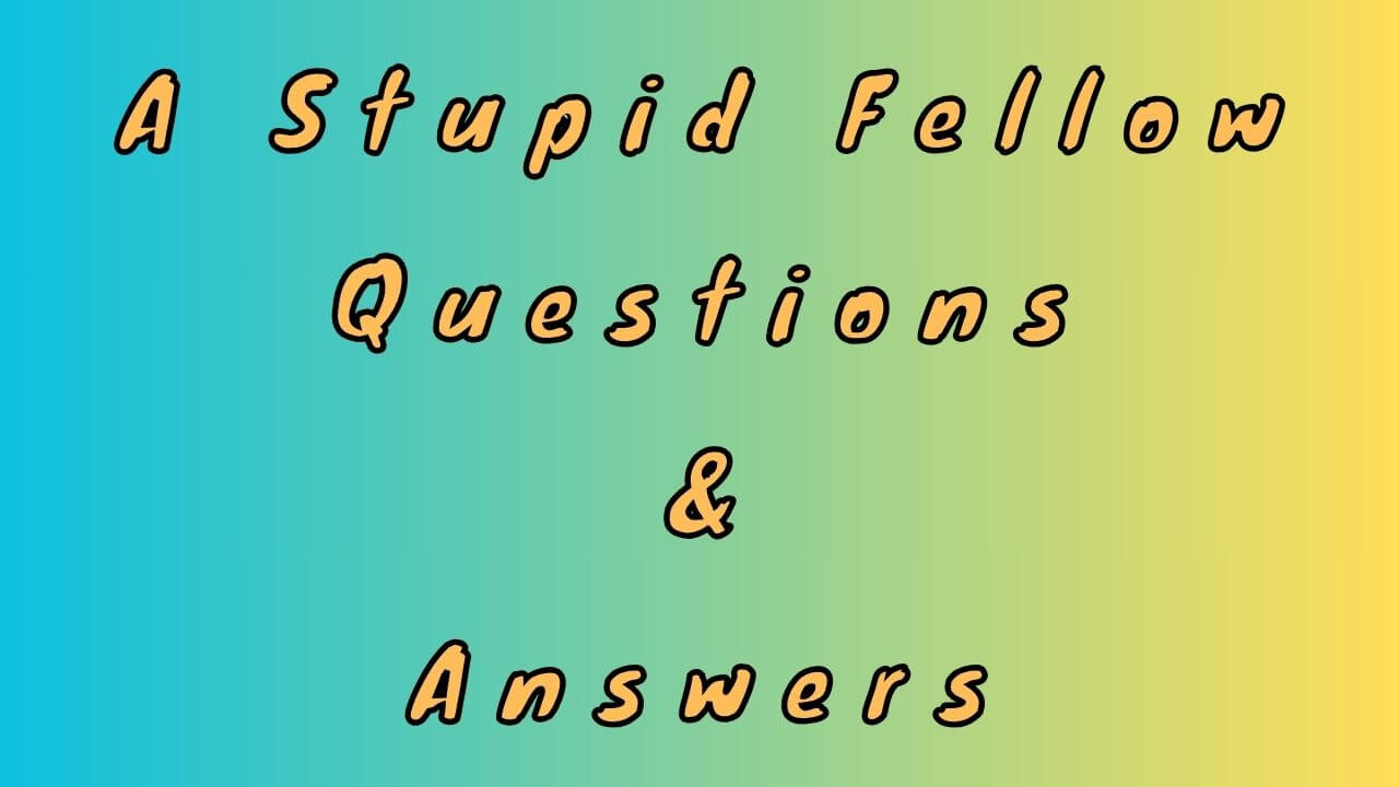 A Stupid Fellow Questions & Answers