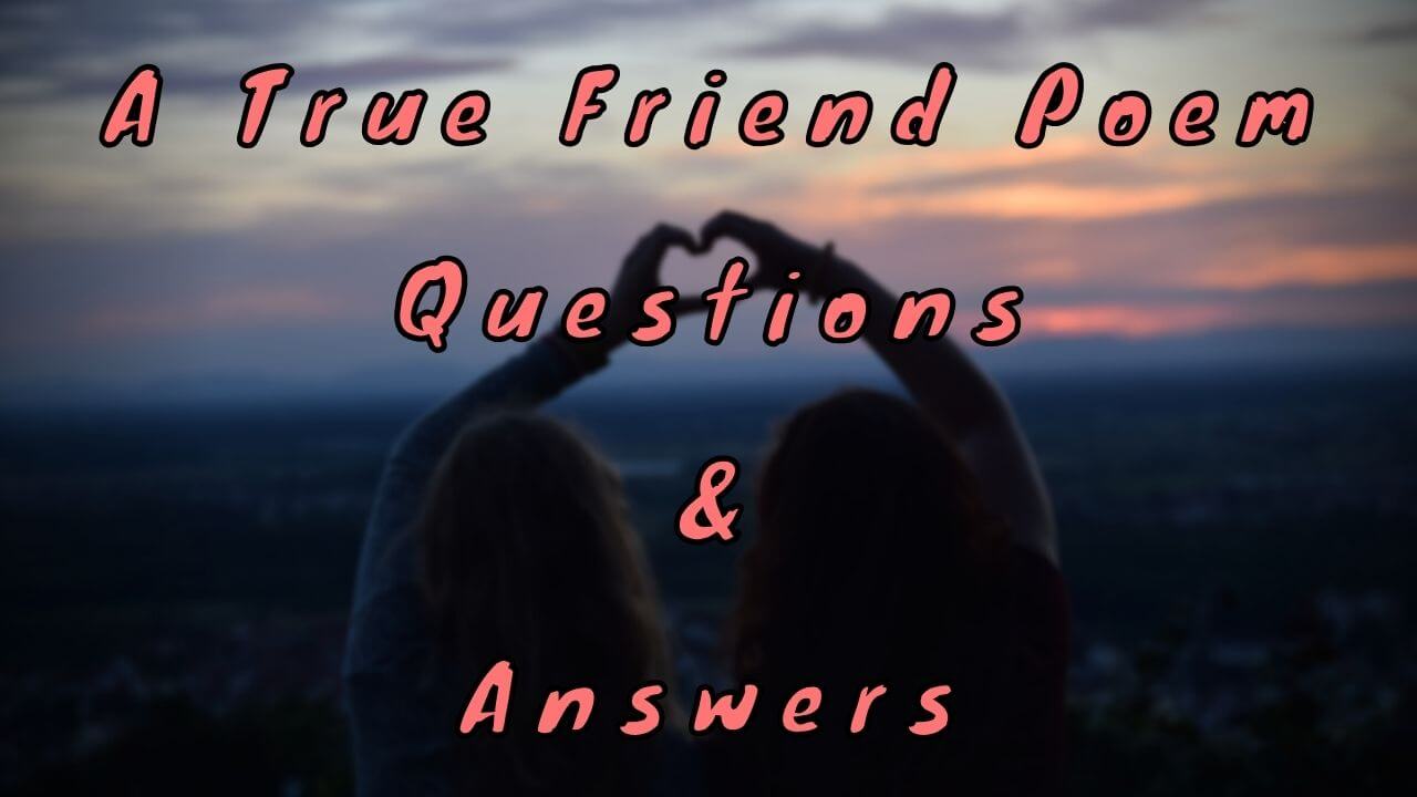 A True Friend Poem Questions & Answers