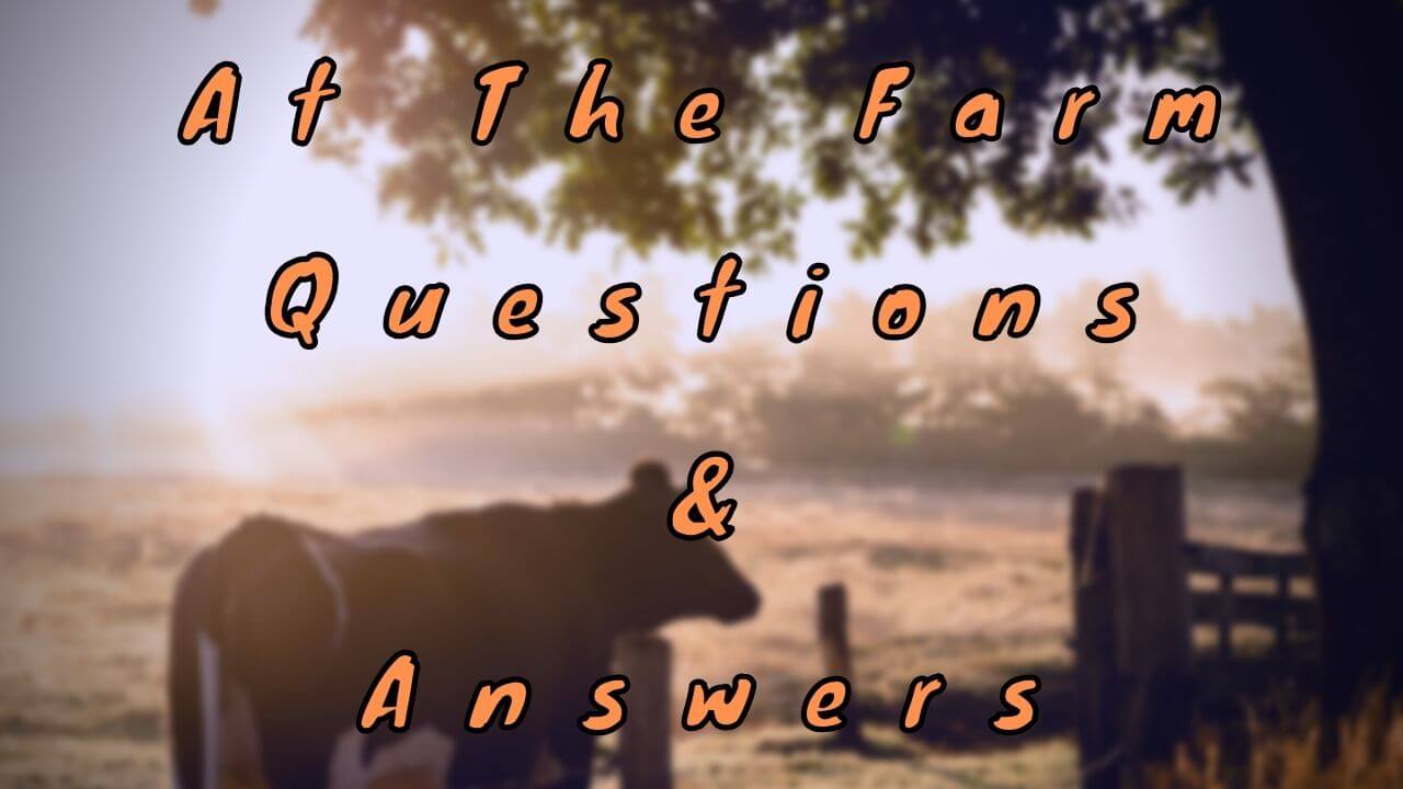 At The Farm Questions & Answers
