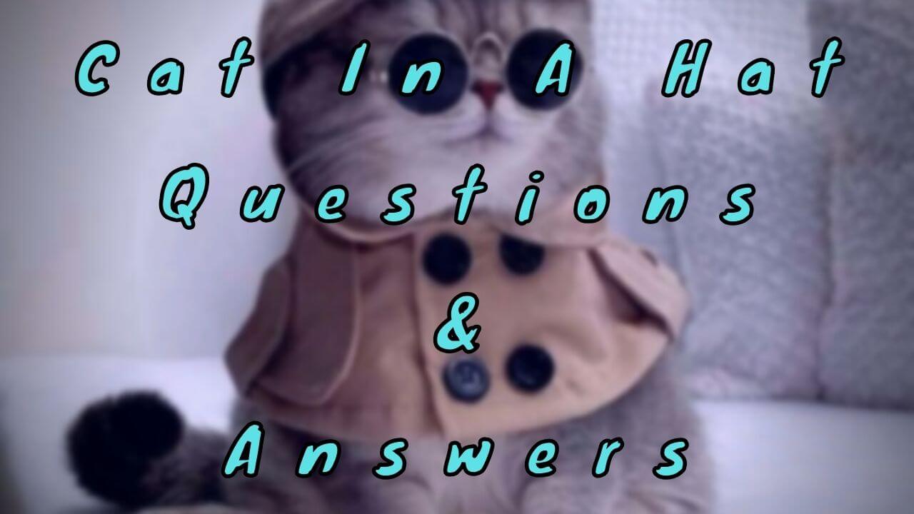 Cat In A Hat Questions & Answers