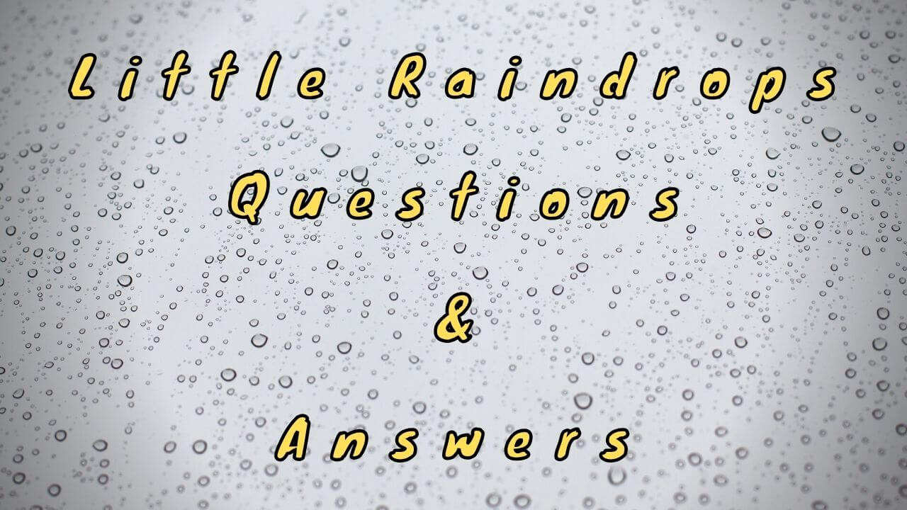 Little Raindrops Questions & Answers