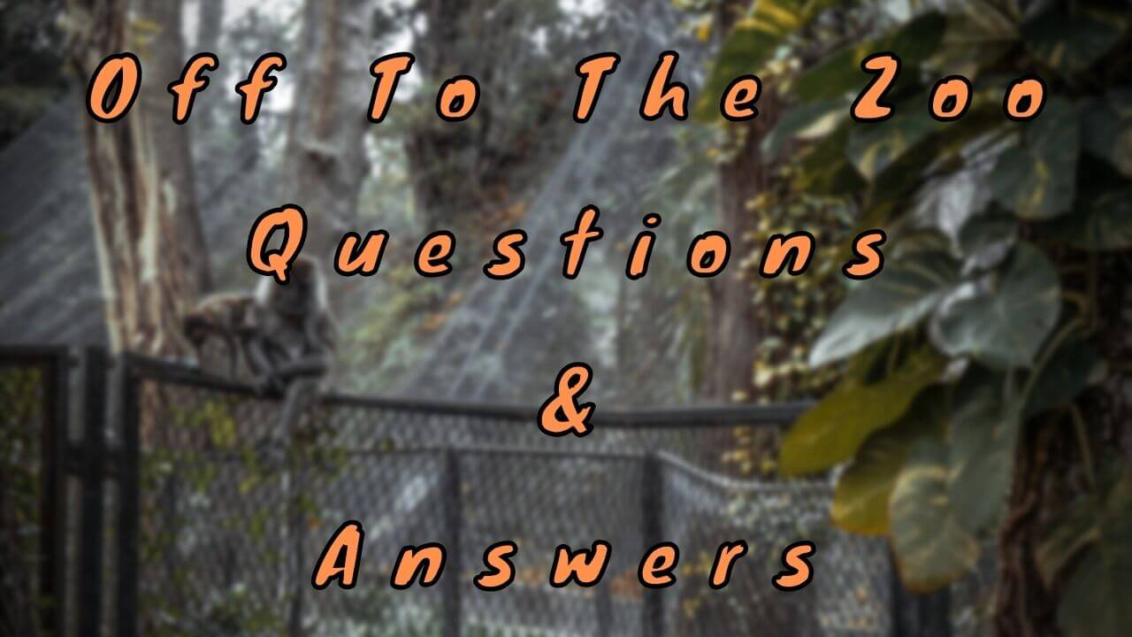 Off To The Zoo Questions & Answers