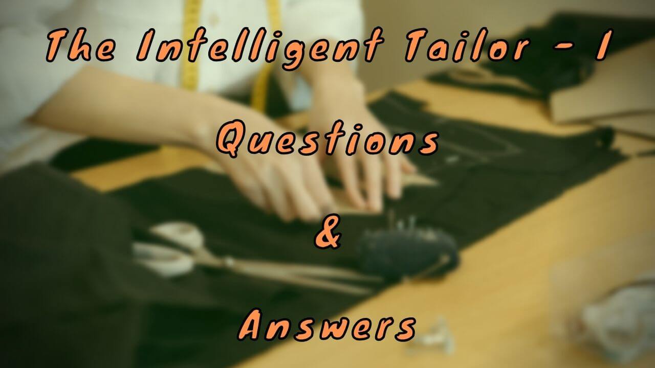 The Intelligent Tailor - I Questions & Answers