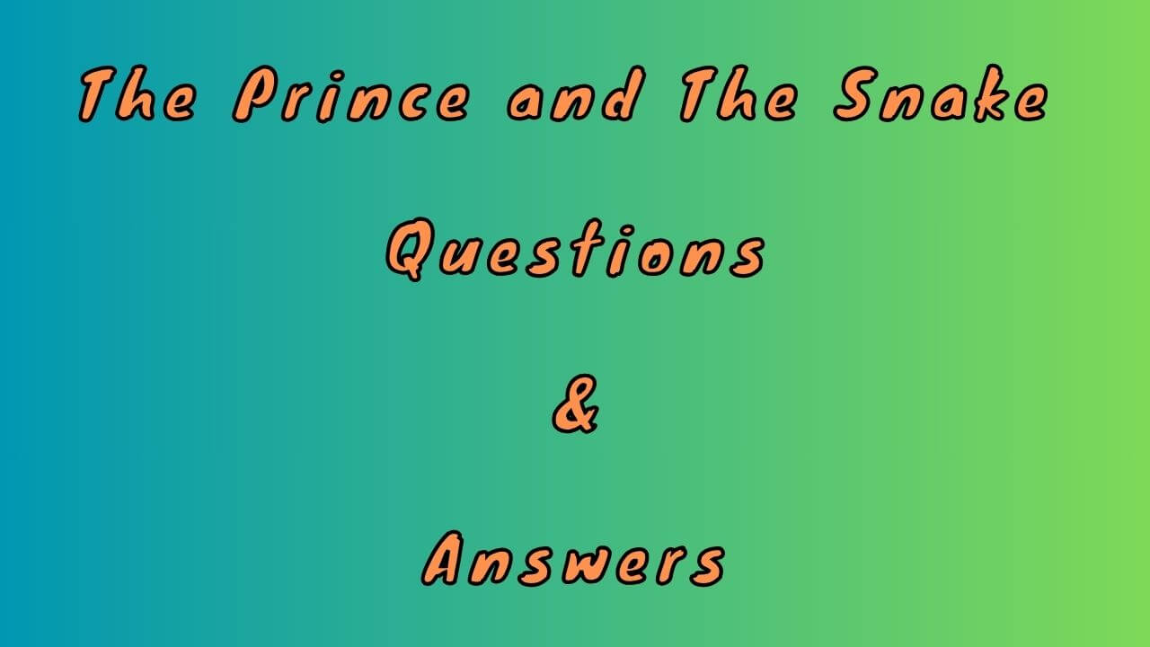 The Prince and The Snake Questions & Answers