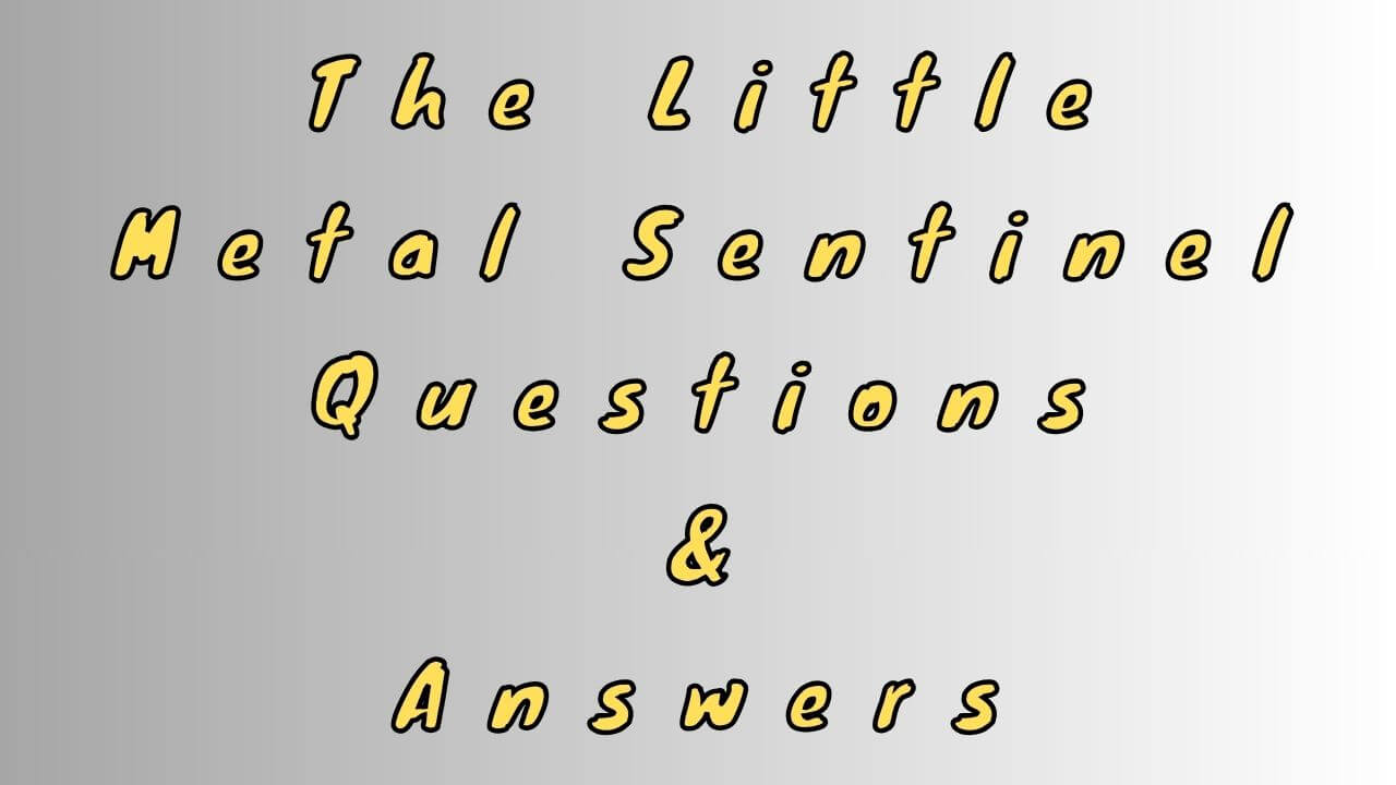 The Little Metal Sentinel Questions & Answers