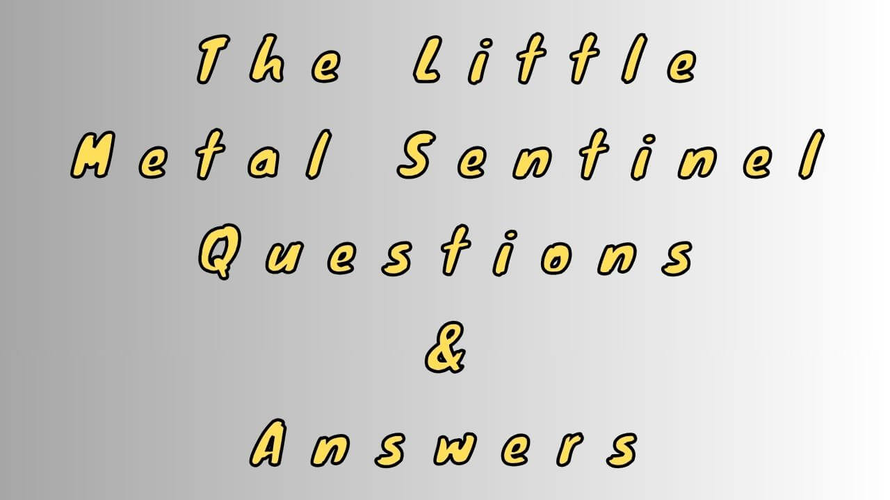 The Little Metal Sentinel Questions & Answers