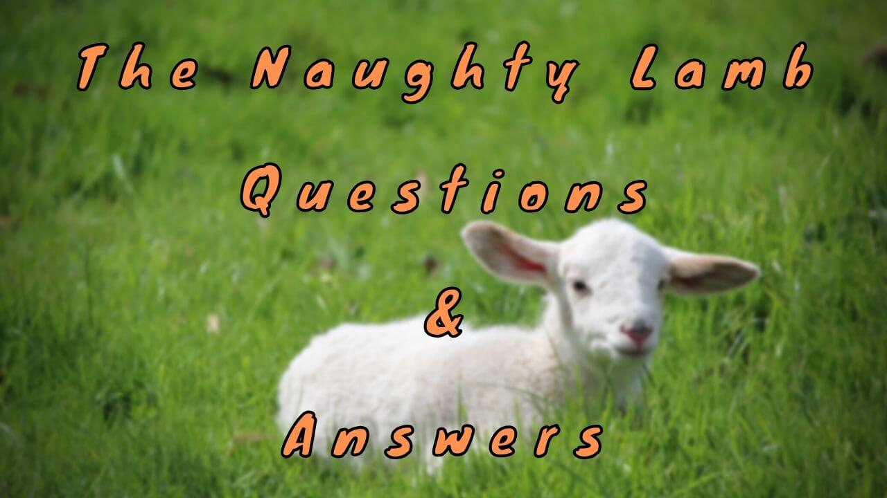 The Naughty Lamb Questions & Answers