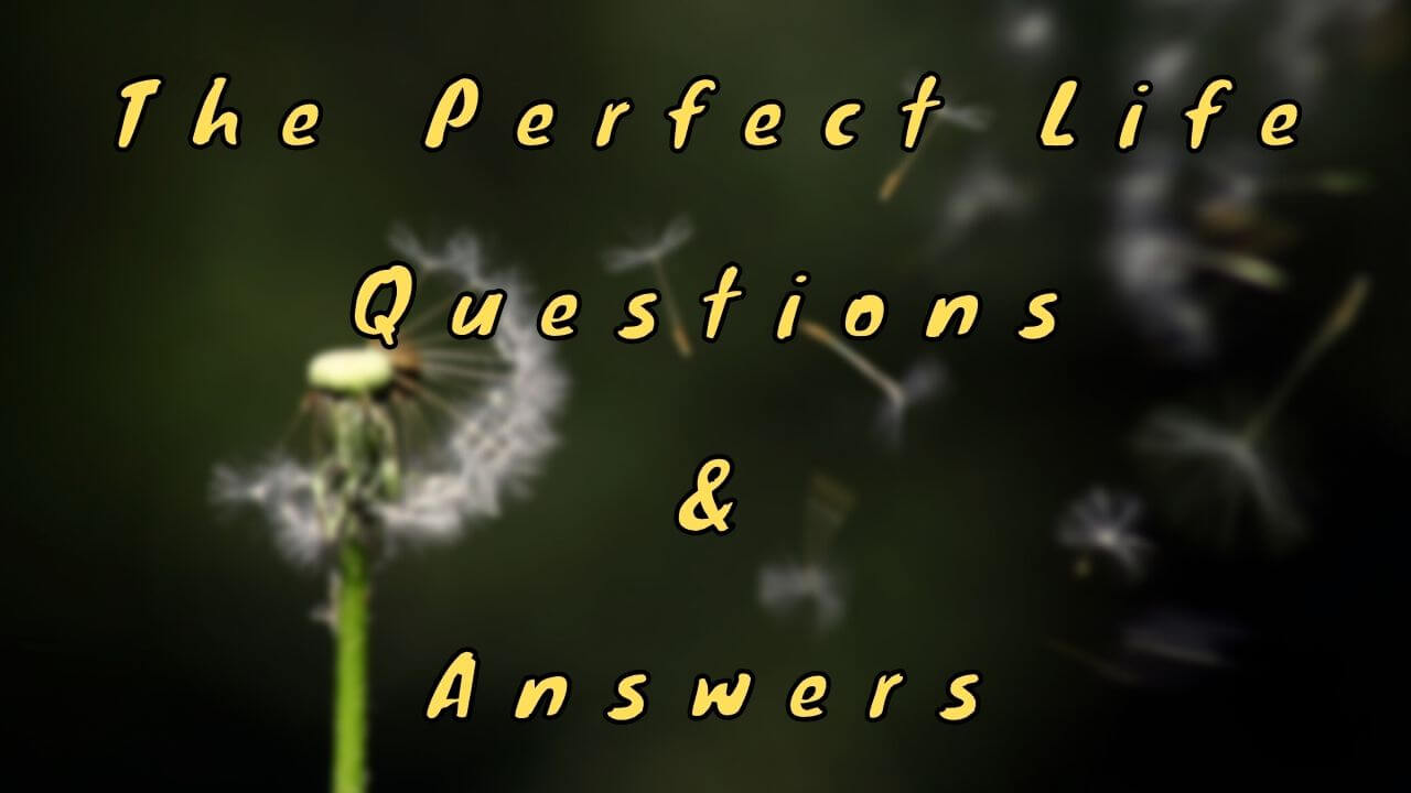 The Perfect Life Questions & Answers