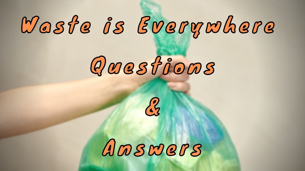 Waste is Everywhere Questions & Answers